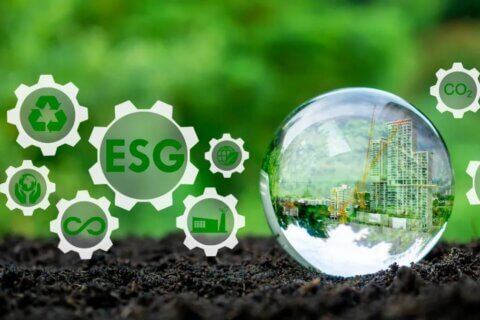 【金证ESG】ESG信息披露趋势及其对企业的财务及价值影响探究